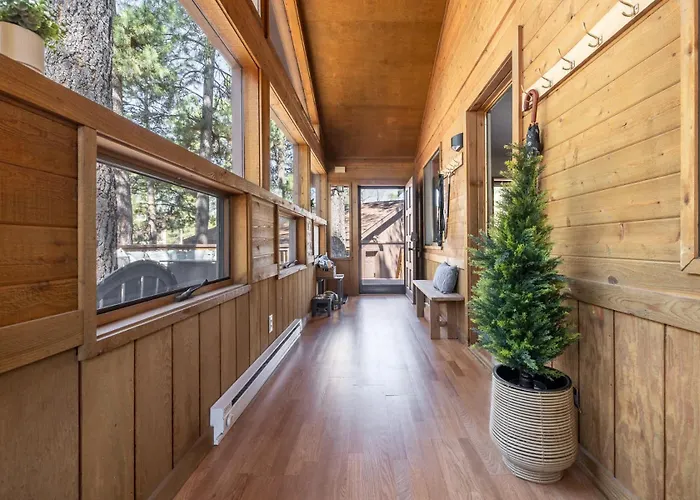 Twin Pines In The Woods *