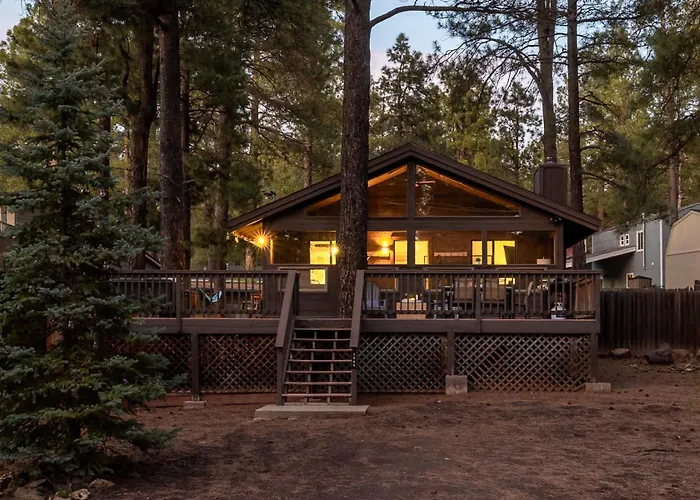 Twin Pines In The Woods